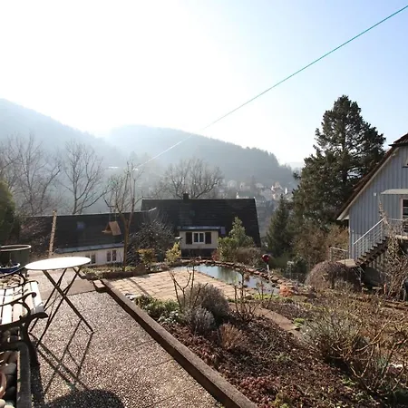 Schwarzwaldblick 아파트