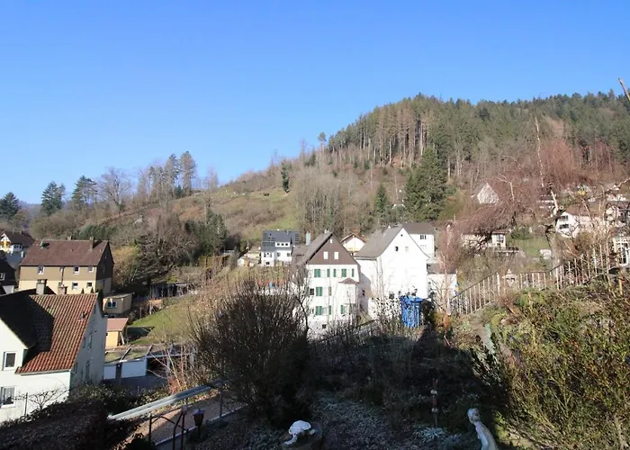 Schwarzwaldblick Lägenhet